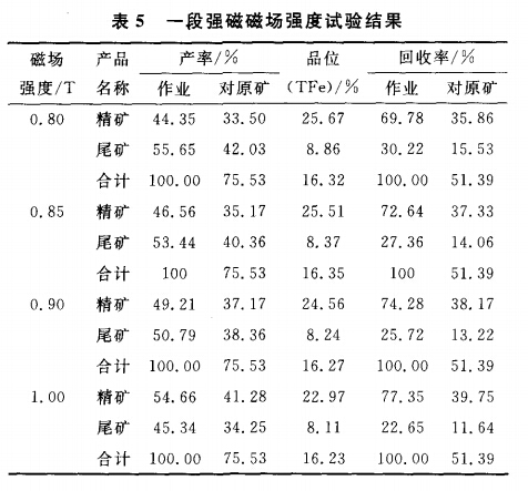 一段强磁磁场强度试验结果