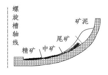 矿浆在螺旋槽上的分布